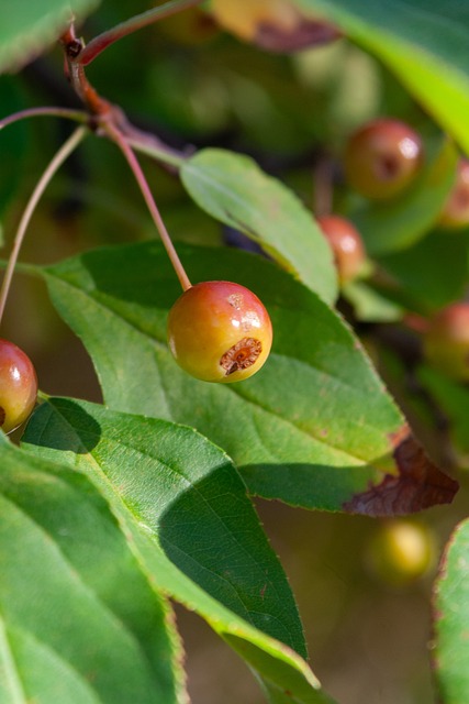 日益增多 日益增多