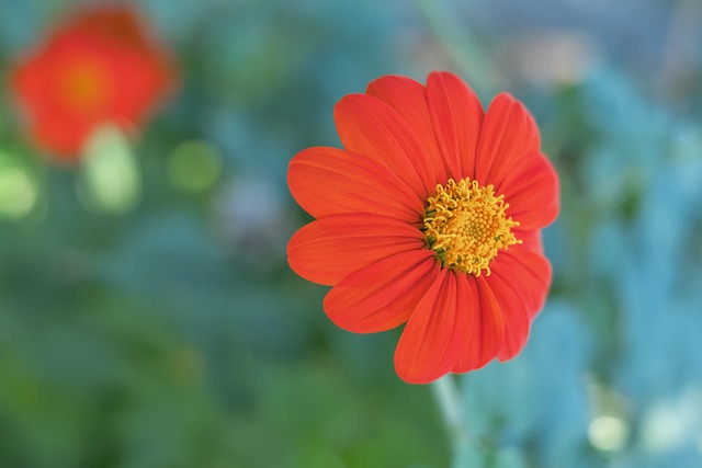 一向标榜职 一向标榜职