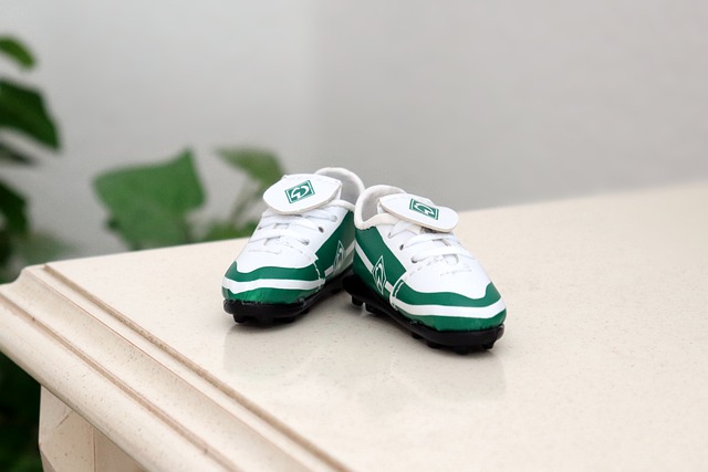 的验证技术 的验证技术