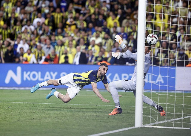 哈兰德在曼 哈兰德在曼